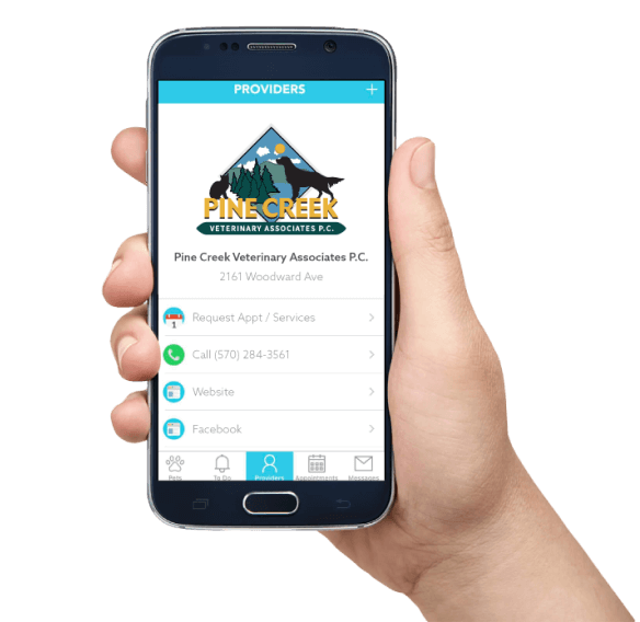Airvet