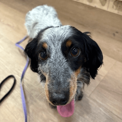 Paisley’s Dental Transformation